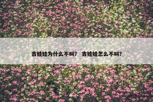 吉娃娃为什么不叫？ 吉娃娃怎么不叫？