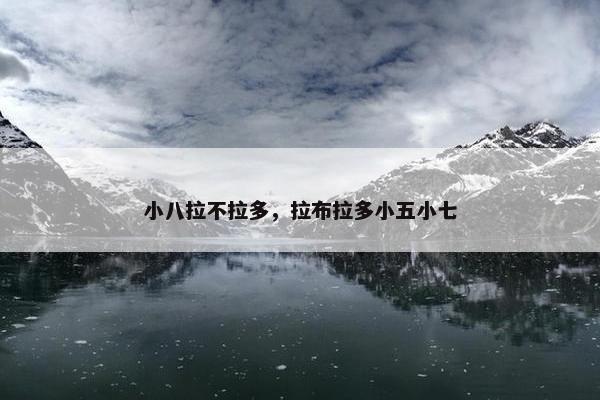 小八拉不拉多，拉布拉多小五小七