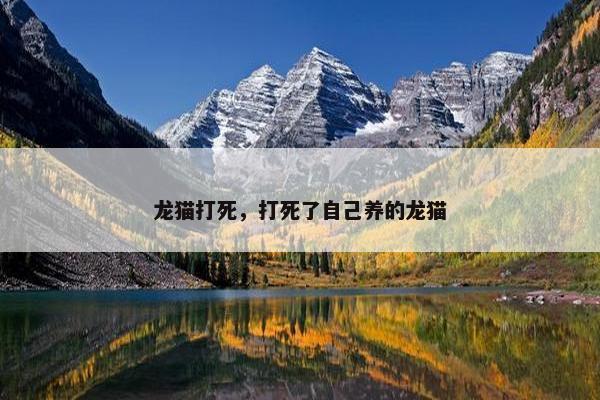 龙猫打死，打死了自己养的龙猫