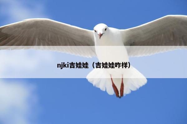 njki吉娃娃（吉娃娃咋样）