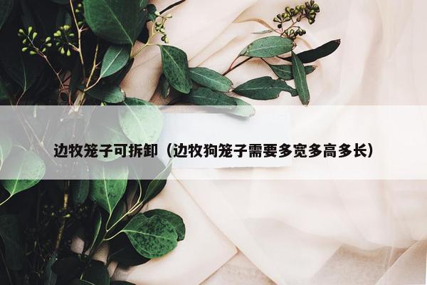 边牧笼子可拆卸（边牧狗笼子需要多宽多高多长）