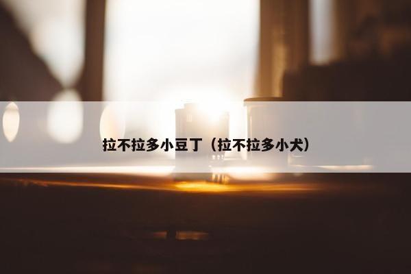 拉不拉多小豆丁（拉不拉多小犬）