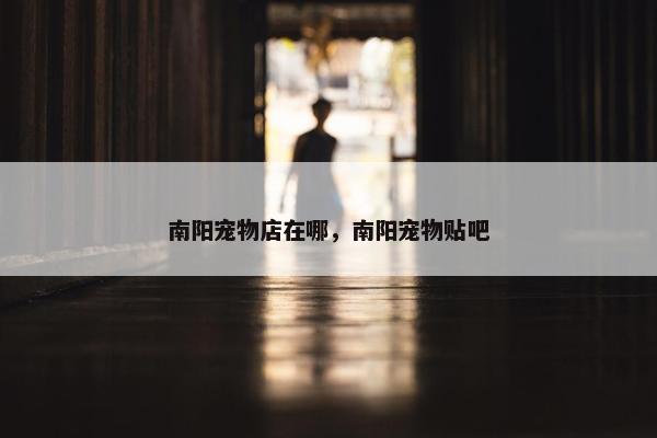 南阳宠物店在哪，南阳宠物贴吧