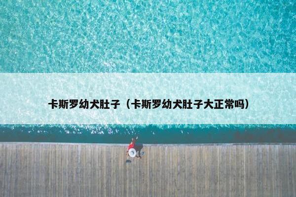 卡斯罗幼犬肚子（卡斯罗幼犬肚子大正常吗）