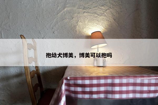 抱幼犬博美，博美可以抱吗