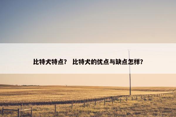 比特犬特点？ 比特犬的优点与缺点怎样？