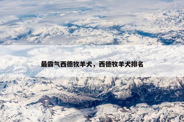 最霸气西德牧羊犬，西德牧羊犬排名