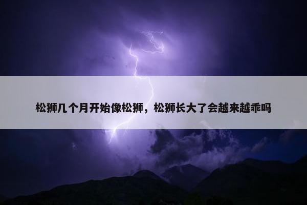 松狮几个月开始像松狮，松狮长大了会越来越乖吗