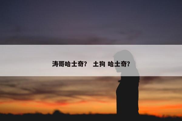 涛哥哈士奇？ 土狗 哈士奇？