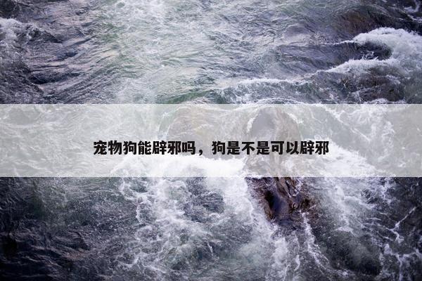 宠物狗能辟邪吗，狗是不是可以辟邪