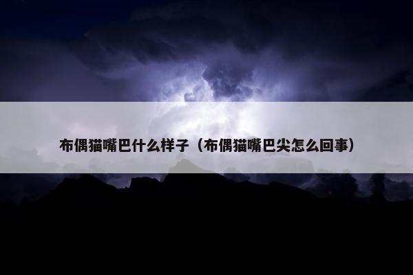 布偶猫嘴巴什么样子（布偶猫嘴巴尖怎么回事）