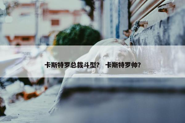 卡斯特罗总裁斗型？ 卡斯特罗帅？
