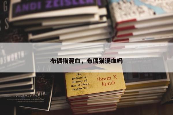 布偶猫混血，布偶猫混血吗
