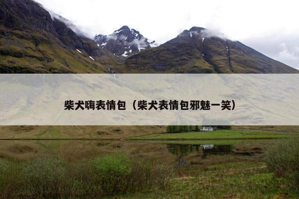 柴犬嗨表情包（柴犬表情包邪魅一笑）