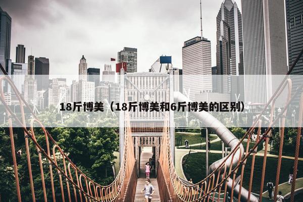 18斤博美（18斤博美和6斤博美的区别）