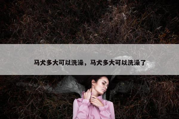 马犬多大可以洗澡，马犬多大可以洗澡了