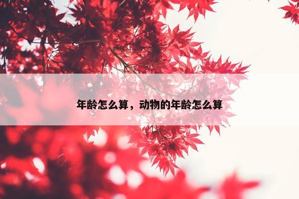 年龄怎么算，动物的年龄怎么算