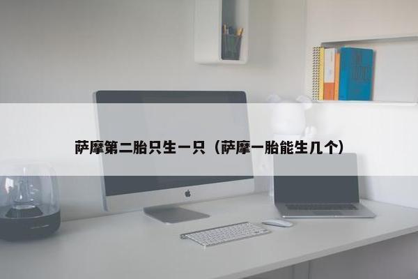 萨摩第二胎只生一只（萨摩一胎能生几个）