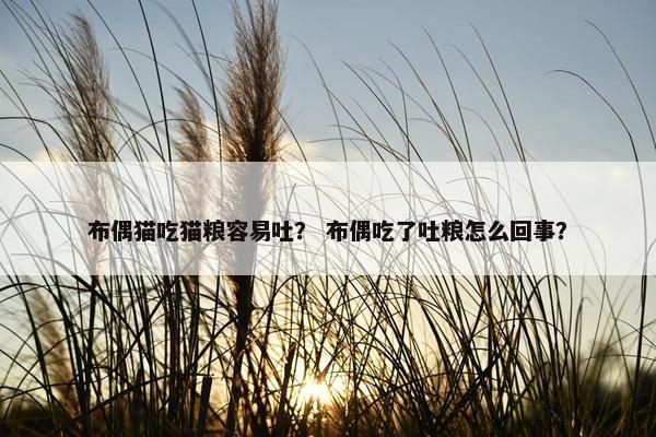 布偶猫吃猫粮容易吐？ 布偶吃了吐粮怎么回事？