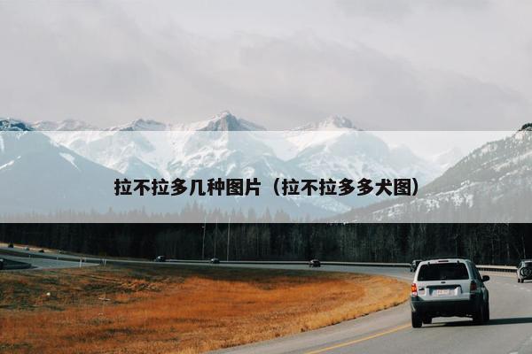 拉不拉多几种图片（拉不拉多多犬图）