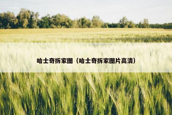 哈士奇拆家图（哈士奇拆家图片高清）