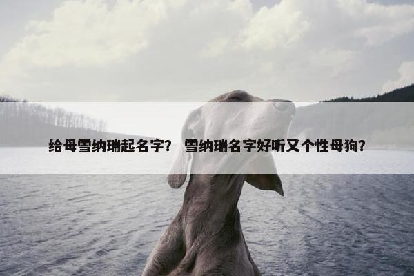 给母雪纳瑞起名字？ 雪纳瑞名字好听又个性母狗？