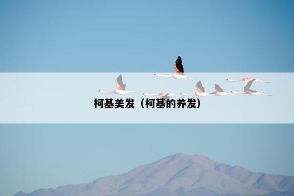 柯基美发（柯基的养发）