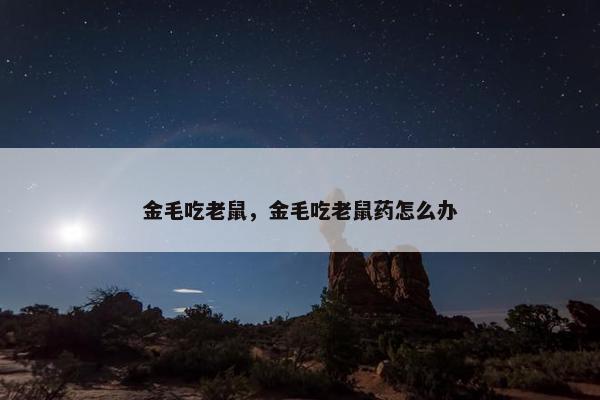 金毛吃老鼠，金毛吃老鼠药怎么办