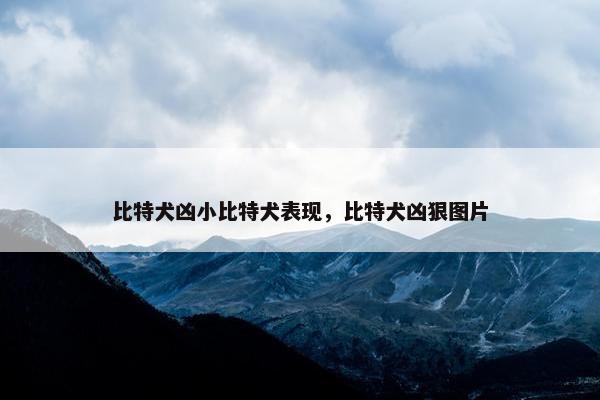 比特犬凶小比特犬表现，比特犬凶狠图片