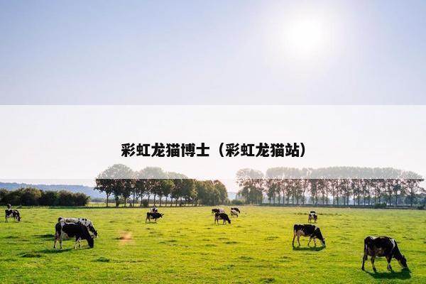 彩虹龙猫博士（彩虹龙猫站）