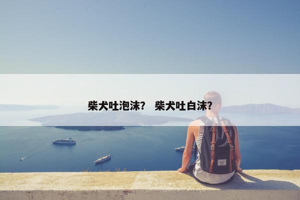 柴犬吐泡沫？ 柴犬吐白沫？