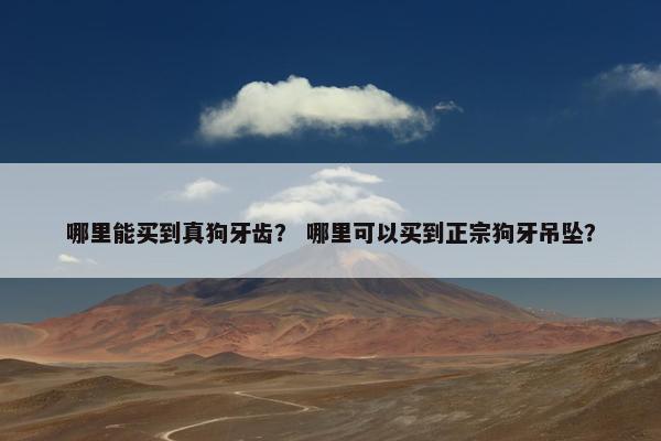 哪里能买到真狗牙齿？ 哪里可以买到正宗狗牙吊坠？