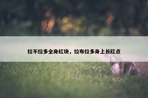 拉不拉多全身红块，拉布拉多身上长红点