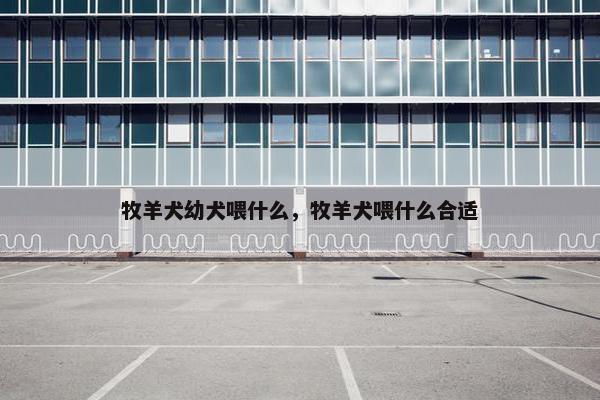 牧羊犬幼犬喂什么，牧羊犬喂什么合适