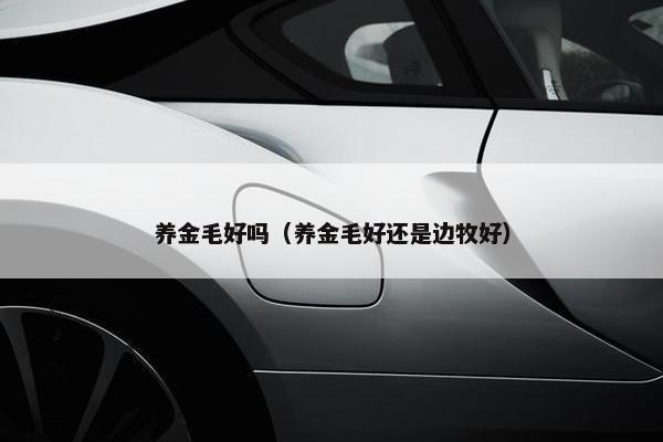 养金毛好吗（养金毛好还是边牧好）