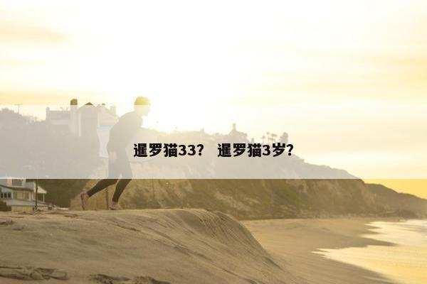 暹罗猫33？ 暹罗猫3岁？