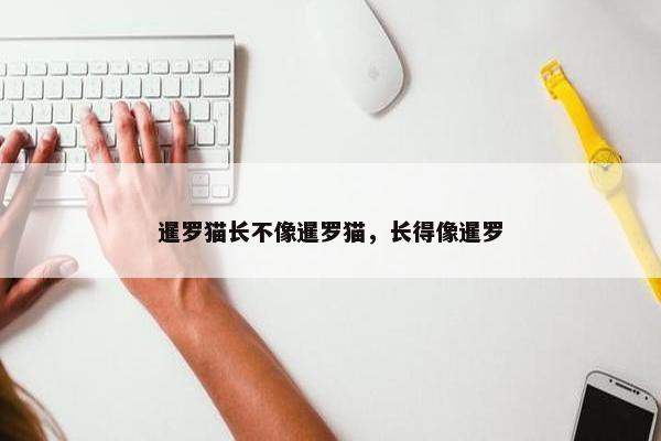 暹罗猫长不像暹罗猫，长得像暹罗
