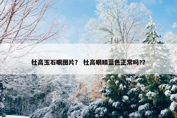 杜高玉石眼图片？ 杜高眼睛蓝色正常吗?？