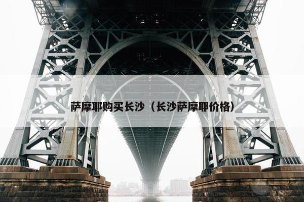 萨摩耶购买长沙（长沙萨摩耶价格）