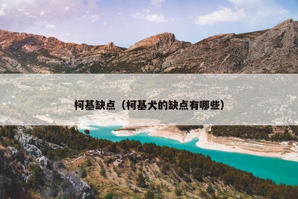 柯基缺点（柯基犬的缺点有哪些）