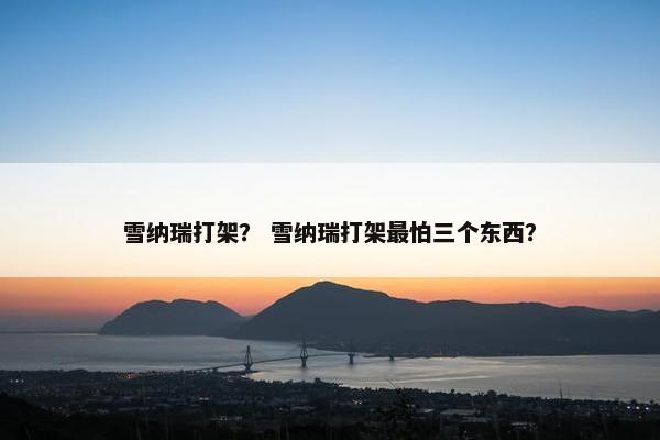 雪纳瑞打架？ 雪纳瑞打架最怕三个东西？