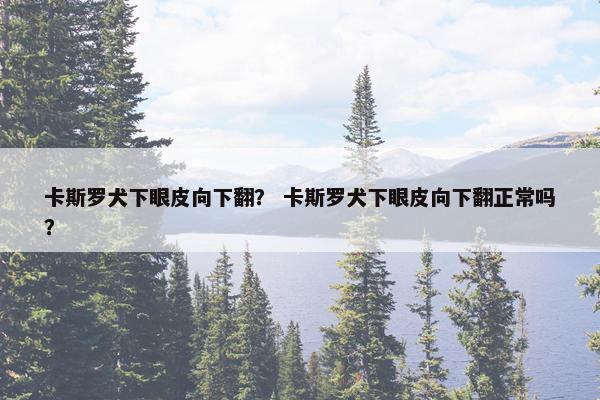 卡斯罗犬下眼皮向下翻？ 卡斯罗犬下眼皮向下翻正常吗？