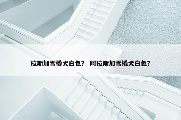 拉斯加雪橇犬白色？ 阿拉斯加雪橇犬白色？