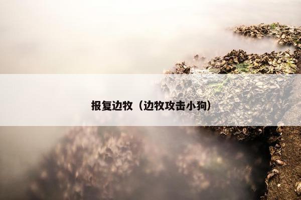 报复边牧（边牧攻击小狗）