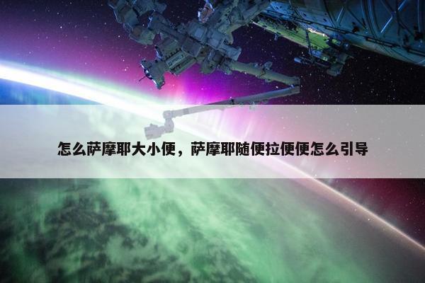 怎么萨摩耶大小便，萨摩耶随便拉便便怎么引导