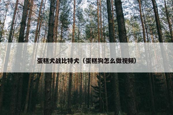 蛋糕犬战比特犬（蛋糕狗怎么做视频）