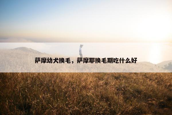 萨摩幼犬换毛，萨摩耶换毛期吃什么好