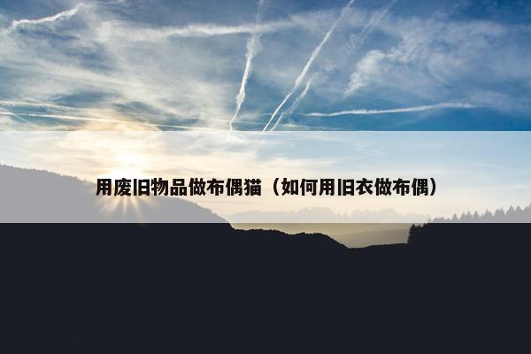 用废旧物品做布偶猫（如何用旧衣做布偶）