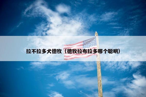 拉不拉多犬德牧（德牧拉布拉多哪个聪明）
