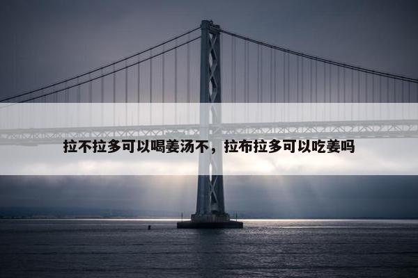 拉不拉多可以喝姜汤不，拉布拉多可以吃姜吗